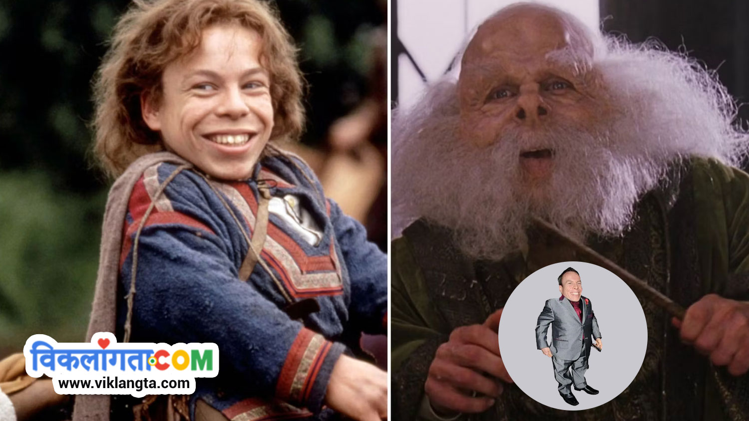 warwick davis: world famous dwarf people